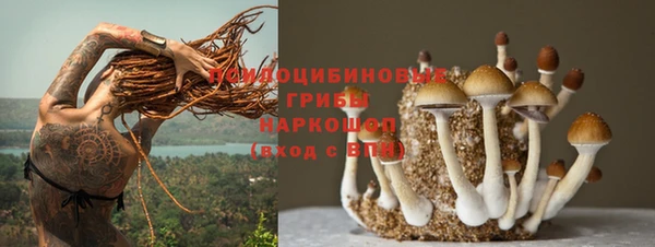 mix Новозыбков