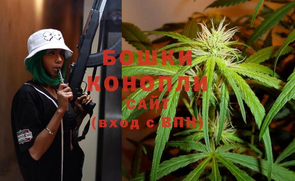 дурь Новодвинск
