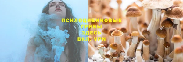 метадон Арсеньев