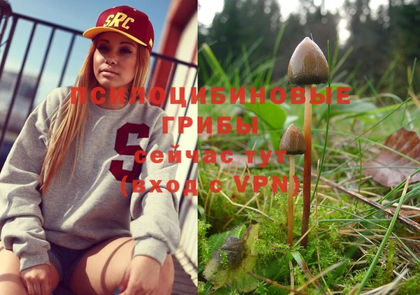 дурь Новодвинск