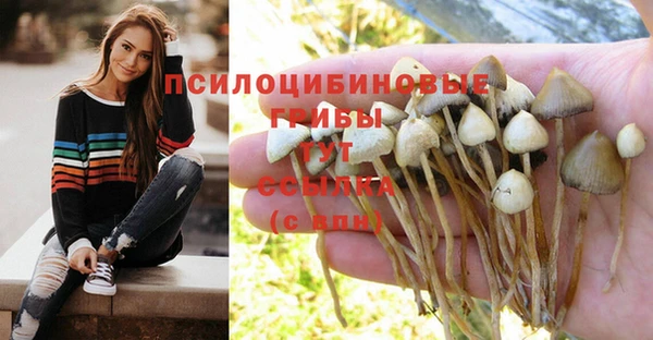 тгк Аркадак