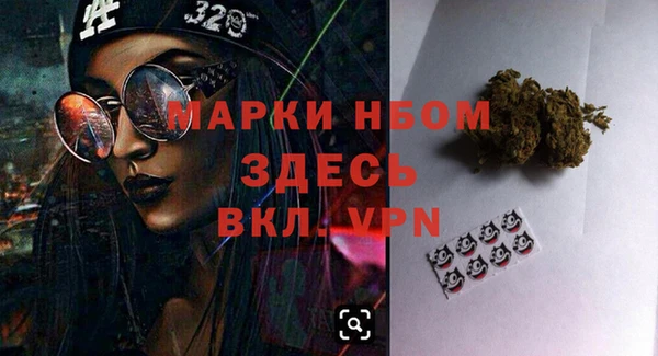 стаф Новокубанск
