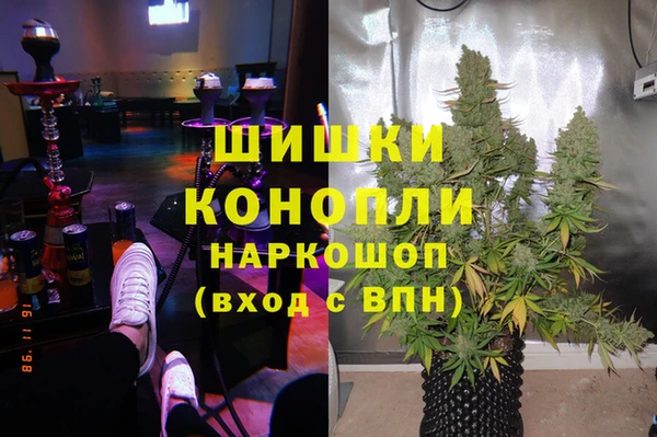 стафф Снежинск