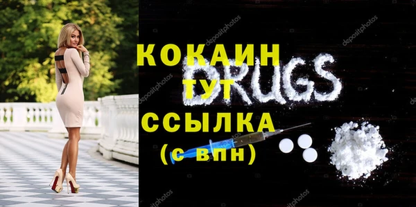 стаф Новокубанск